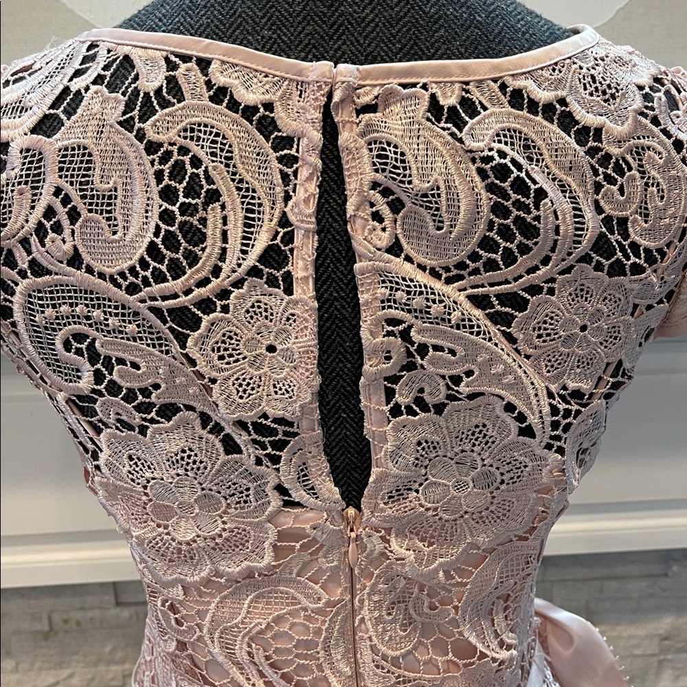 Adrianna Papell Lace Cap-Sleeve Illusion Sheath Dress Size 4 - Picture 8 of 8